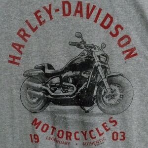 Harley-Davidson Gray Short Sleeve Tee Men’s Large